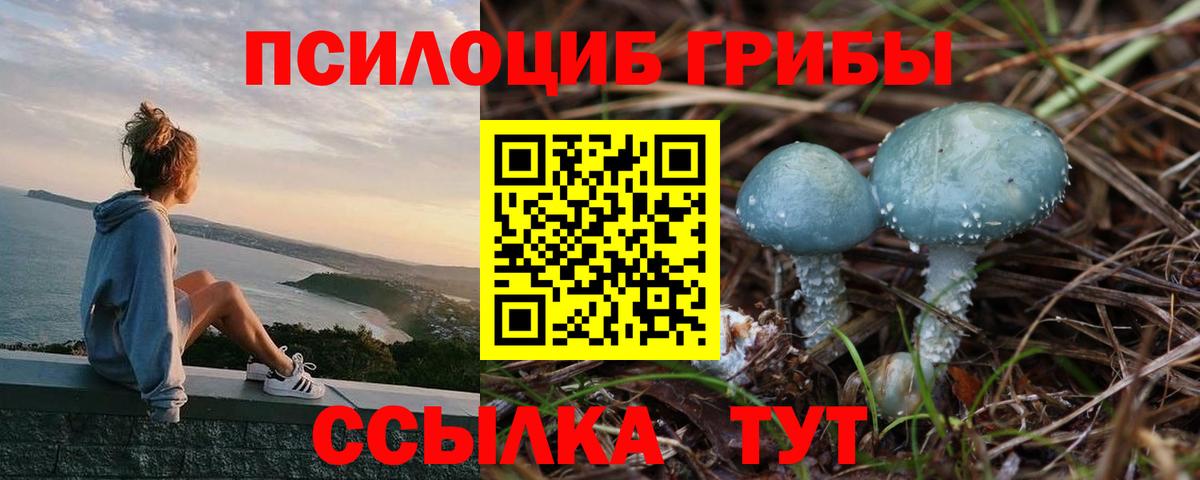 Псилоцибиновые грибы Magic Shrooms Астрахань